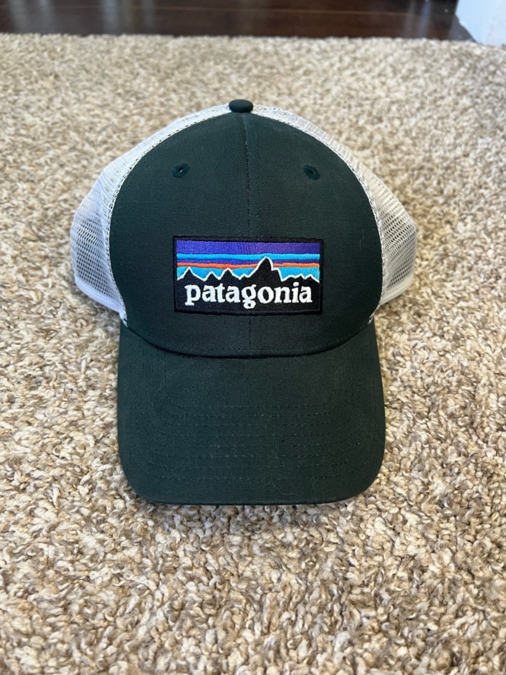 Patagonia hat